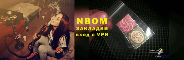 индика Алексин