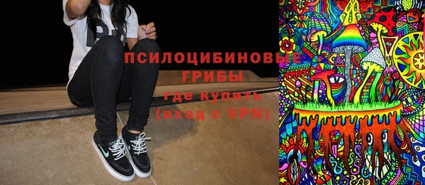 индика Алексин