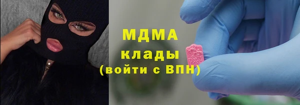 индика Алексин