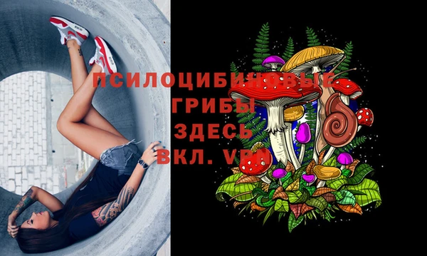индика Алексин