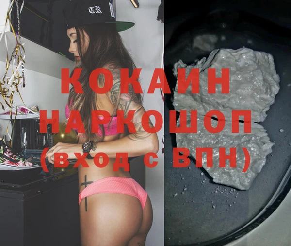 индика Алексин