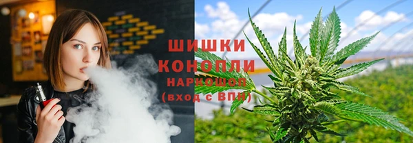 винт Алзамай