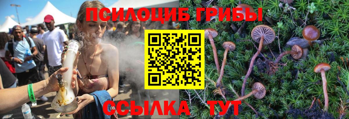 Псилоцибиновые грибы MAGIC MUSHROOMS  Псилоцибиновые грибы Magic Shrooms  Фурманов  как найти наркотики  Вход с VPN 